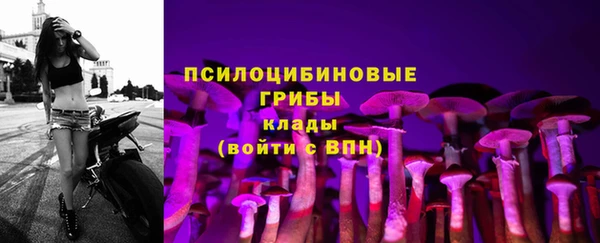 Альфа ПВП Алзамай